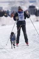 Lenk 2013